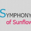 symphonyofsunflowers