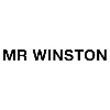 Mr Winston