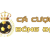 Cá Cược Bóng Đá