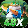 48x