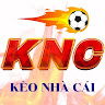 tỷ lệ kèo nhà cái