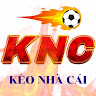 tỷ lệ kèo nhà cái hôm nay