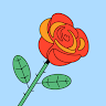 Hammasd seo
