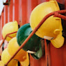 Oak Construction Services